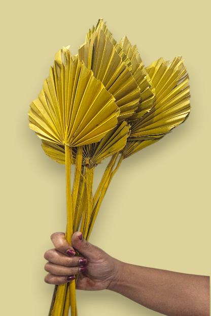 Dried yellow palm spear(set of 10)